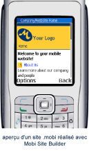 aperçu d'un site .mobi
