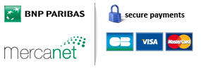 secure domain name purchase 