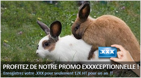 enregistrement nom de domaine .xxx pas cher