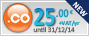 special offer on .CO domain names until 06/30/13