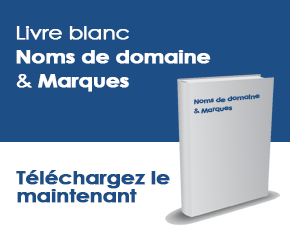 Livre blanc