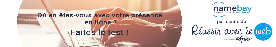 Réussir avec le Web